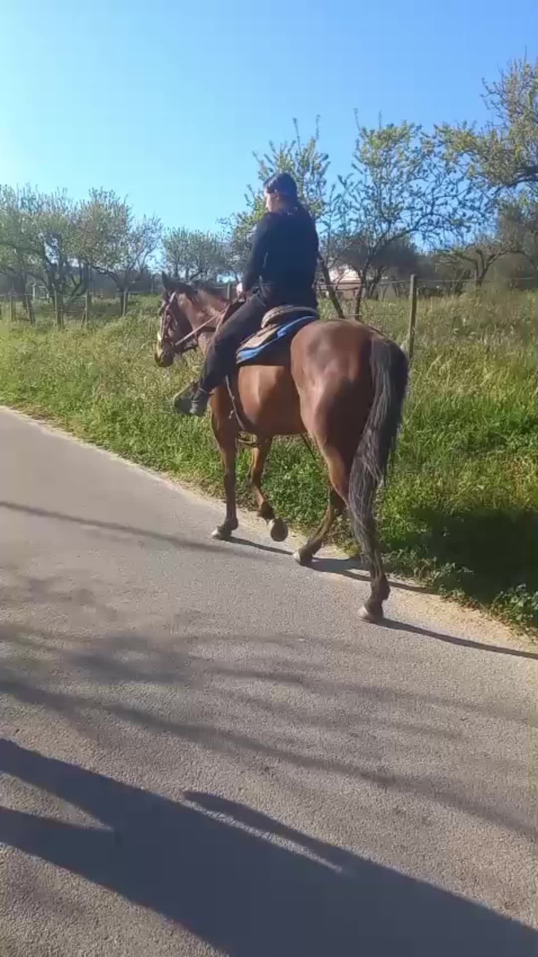 @Elisa Pilotta