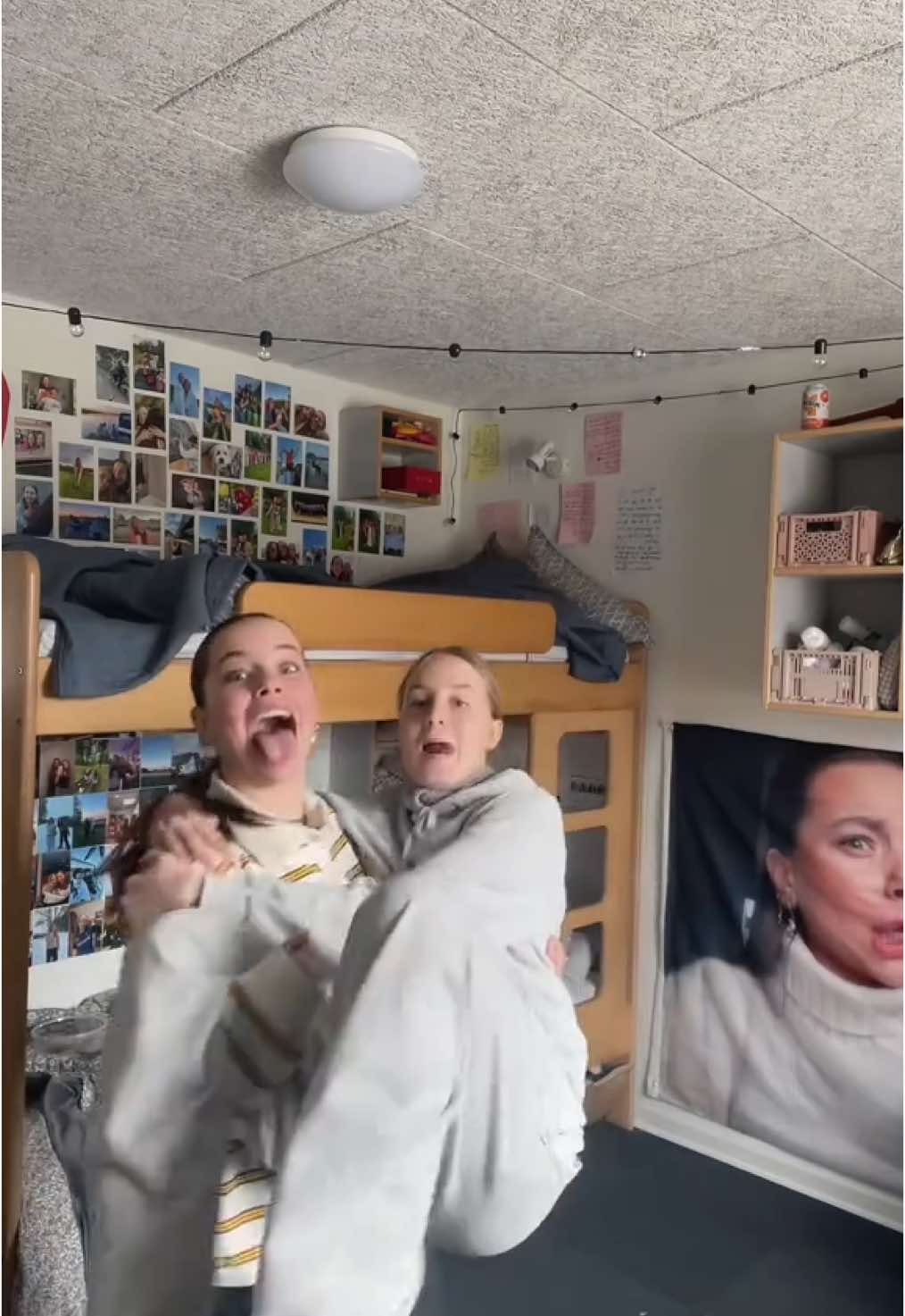 @lauralarsen
