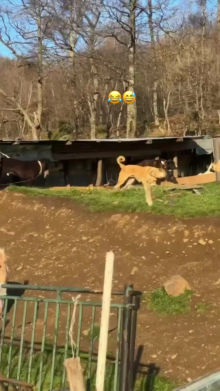 @Taysoni