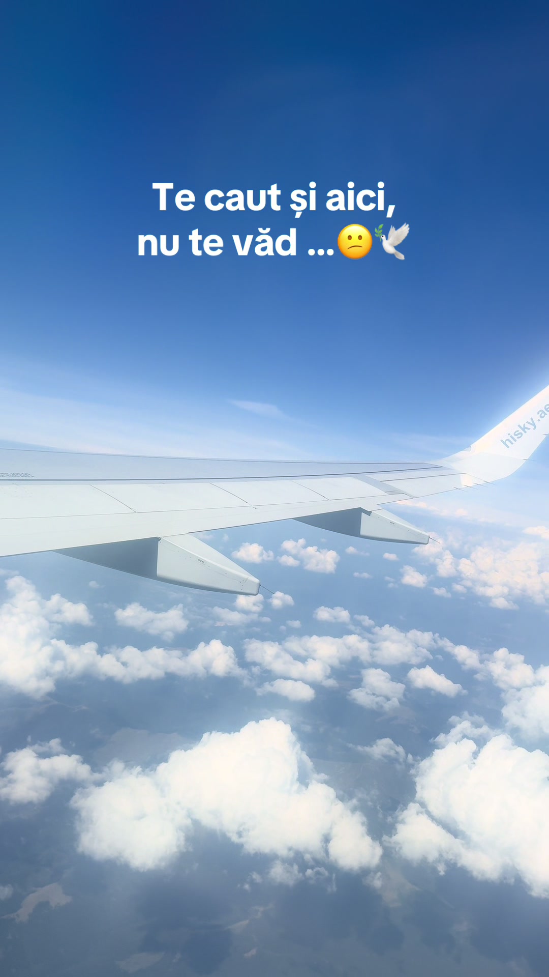 @Rusu Roxana