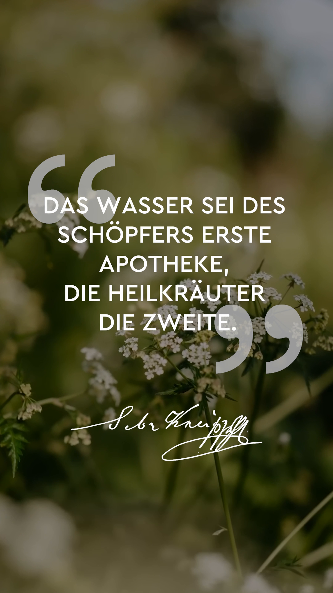 @Kneipp