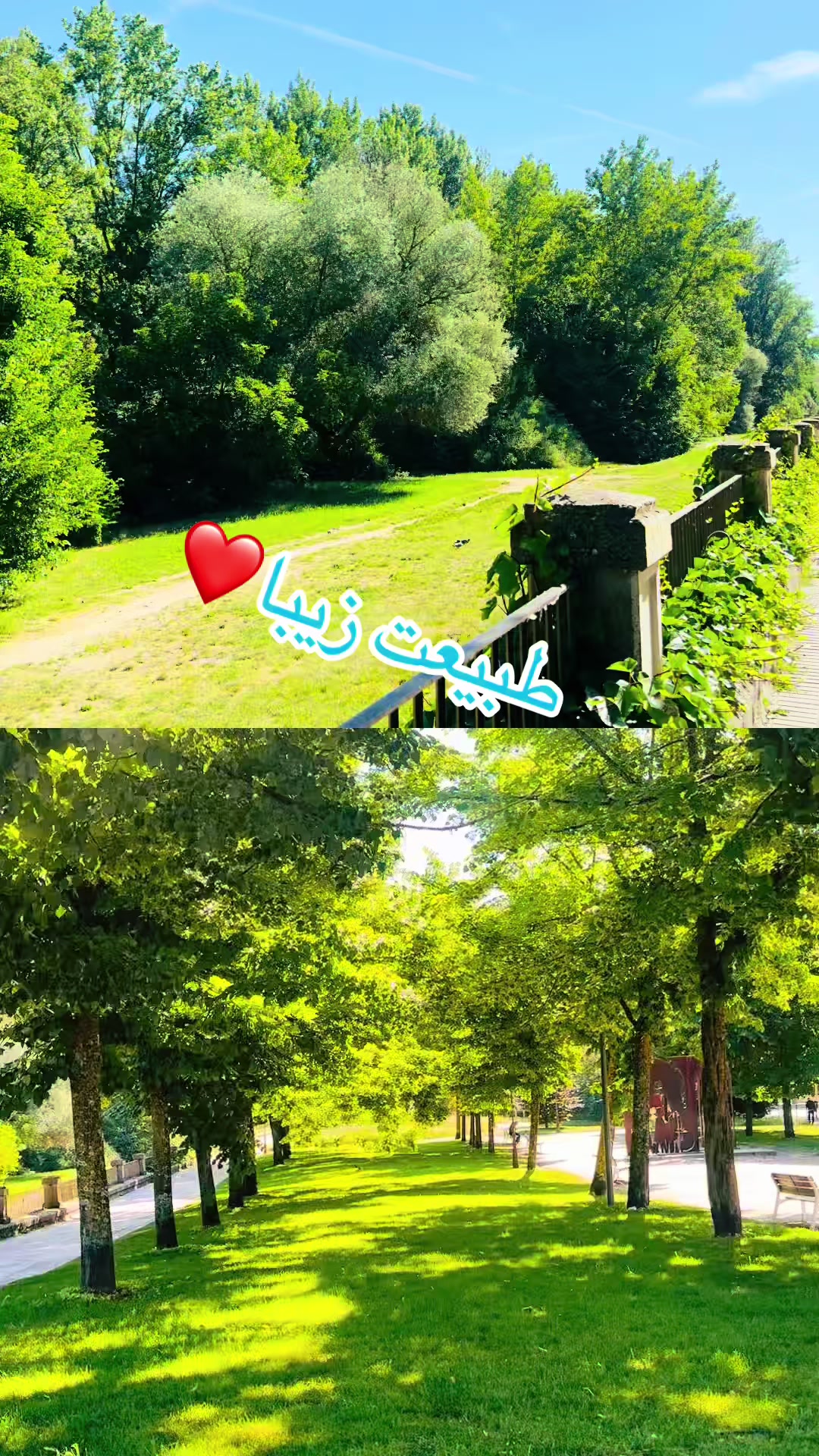 @Bano heidari🇪🇸💛🤍💙
