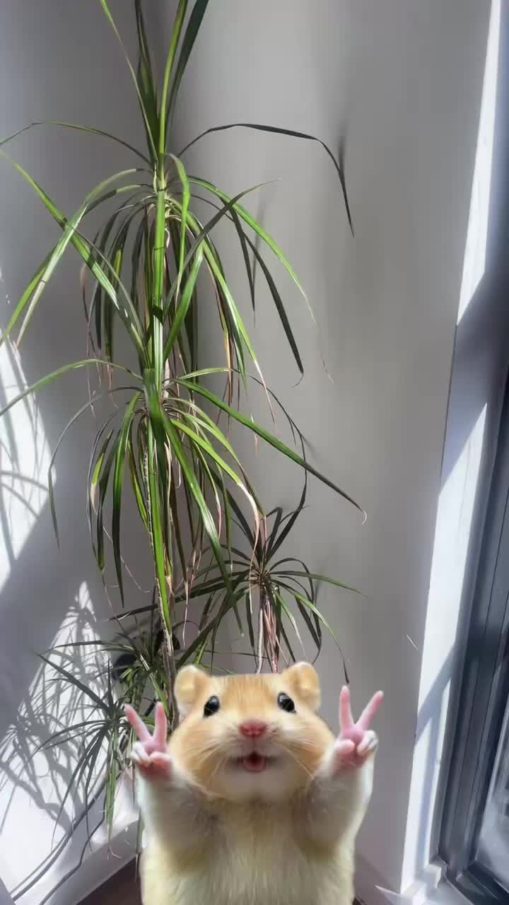 @teewats0n