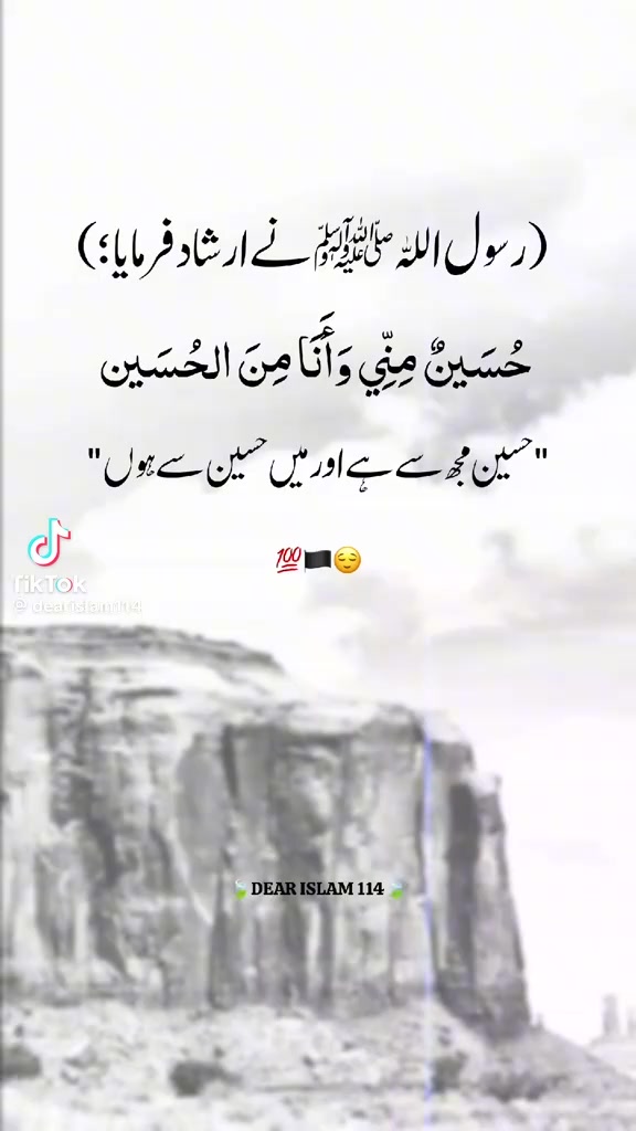 @Malik Khaliqdad gunjial
