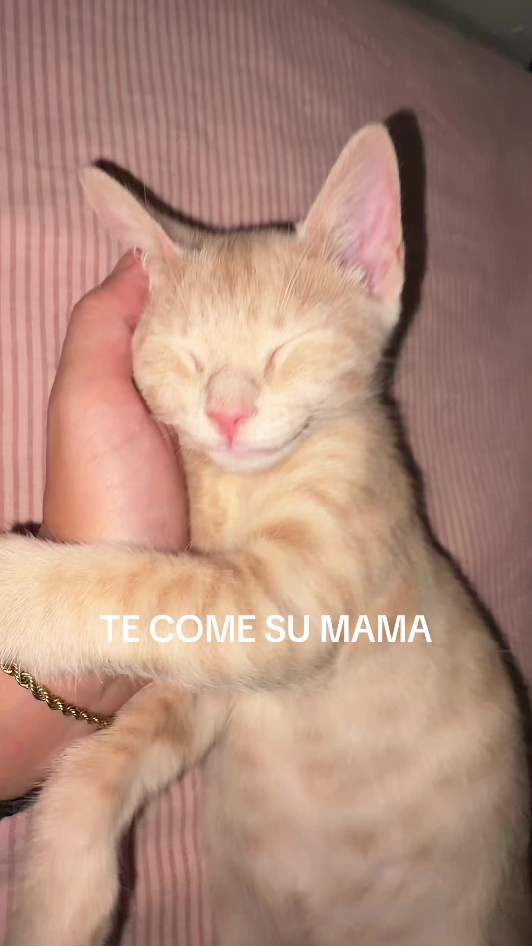 @JULIA