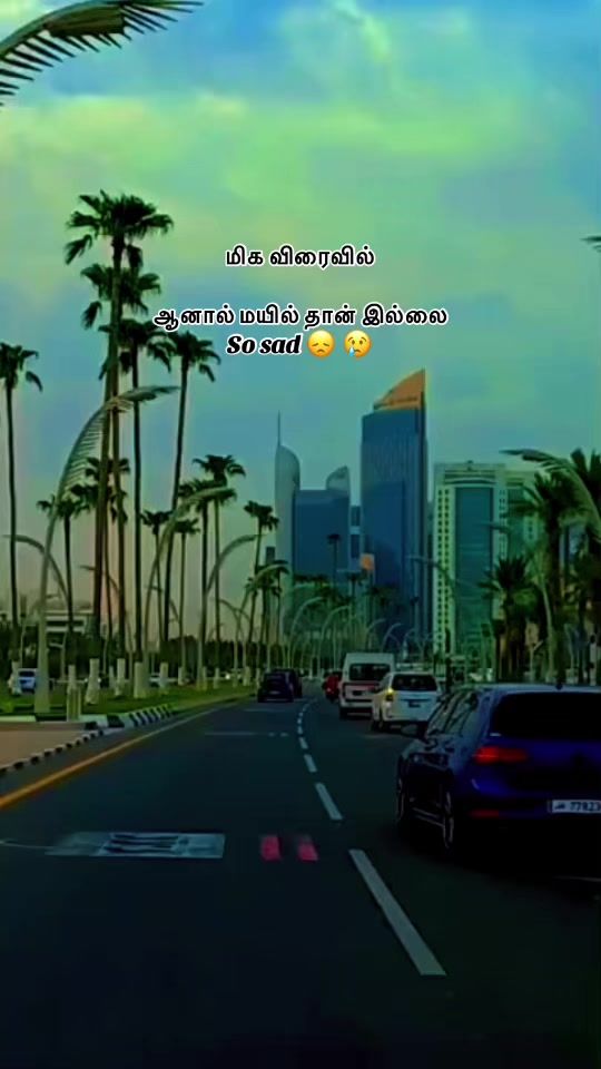 @Kumar Kuwait 🇰🇼