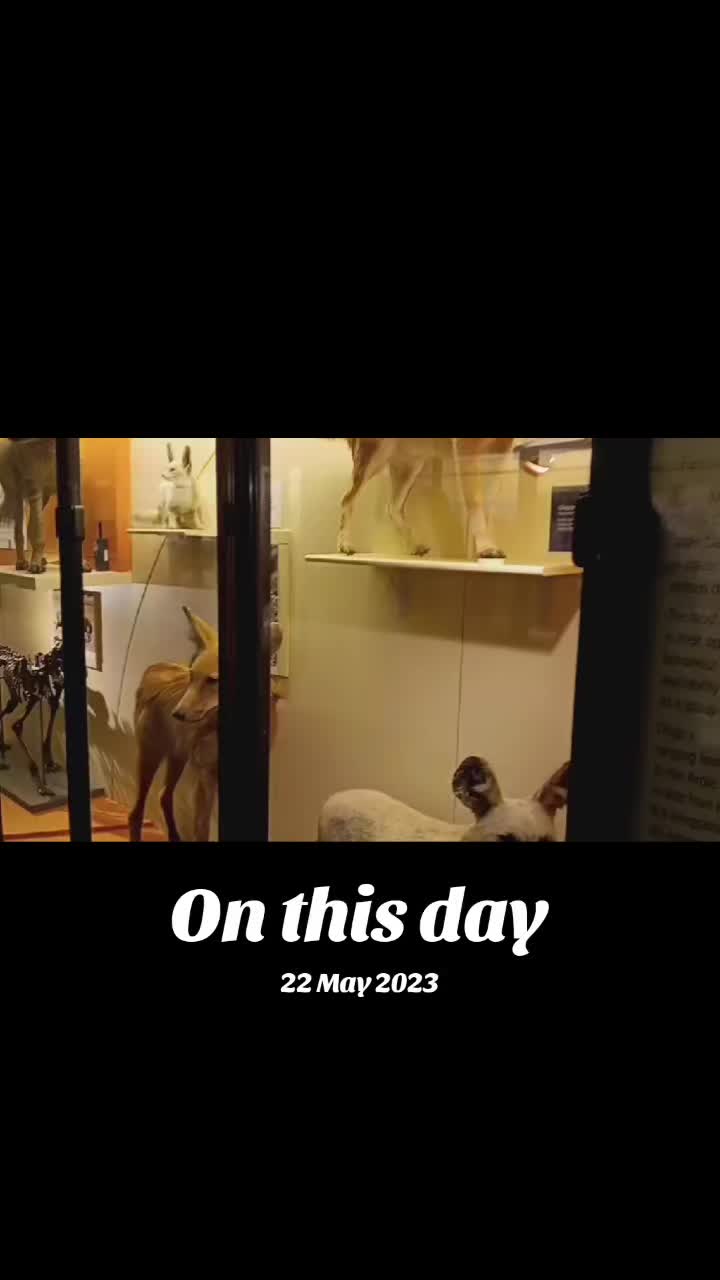 @voice_of_UK