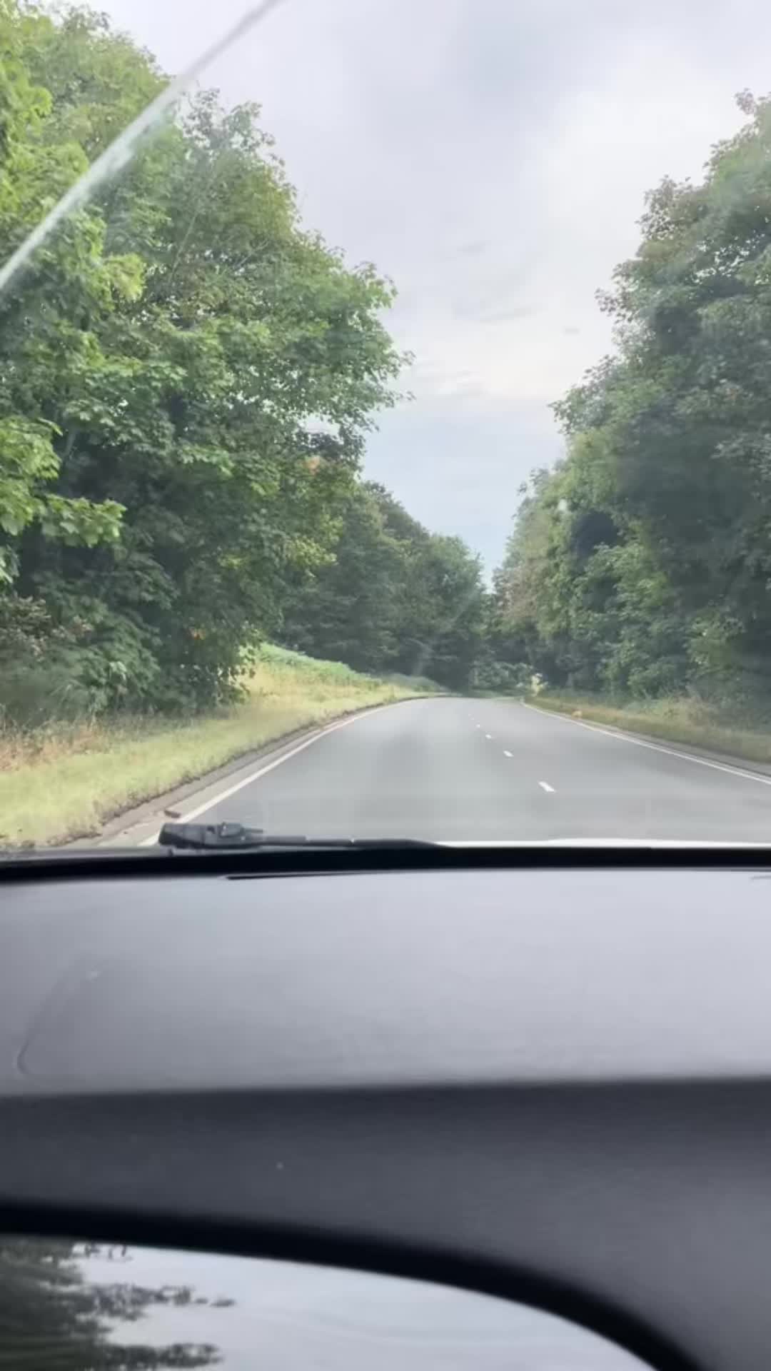 @Indu 🇬🇧