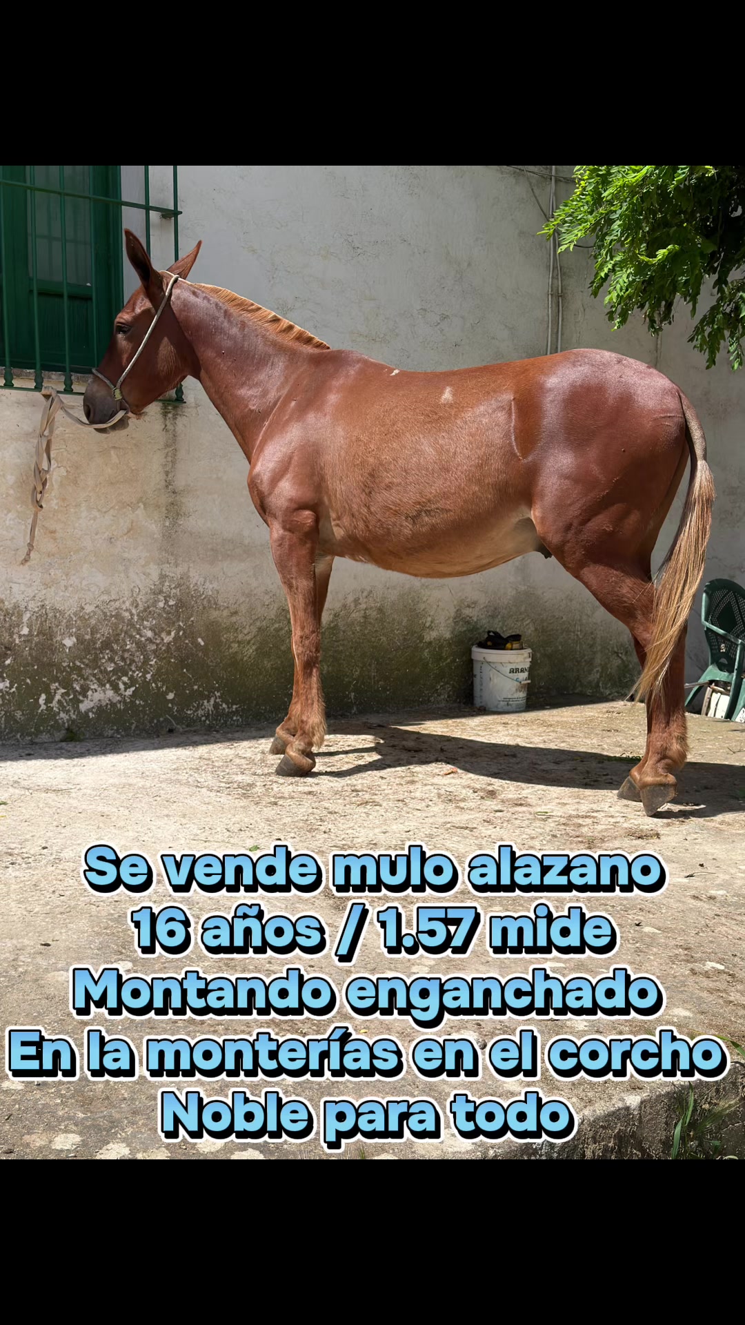 @María del pilar