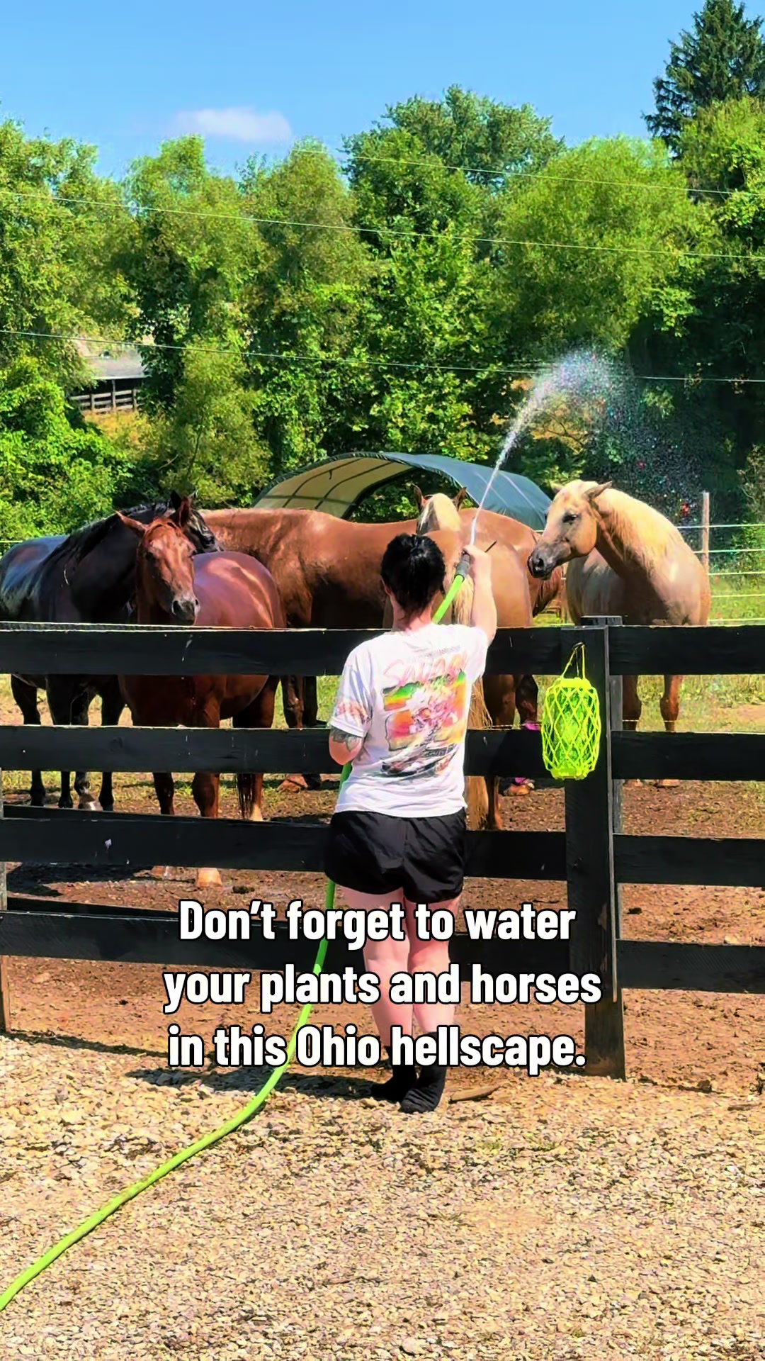 @twinriveranch
