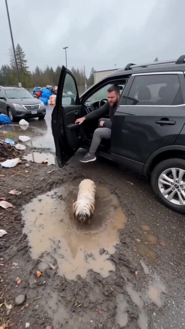 @lklkgfgf62
