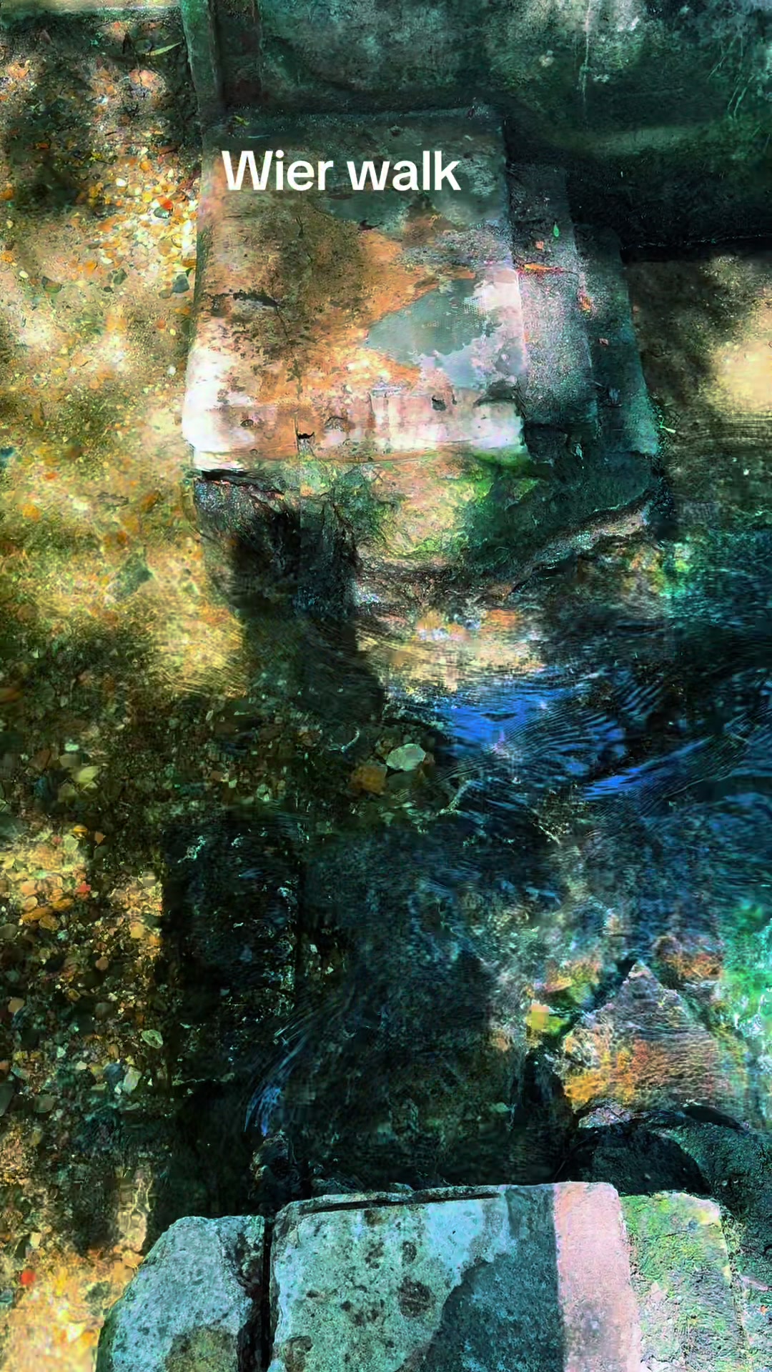 @Mental elf fishin