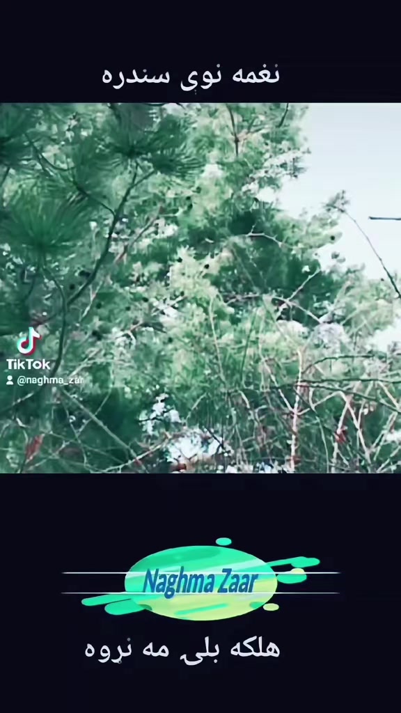 @نغمه زار