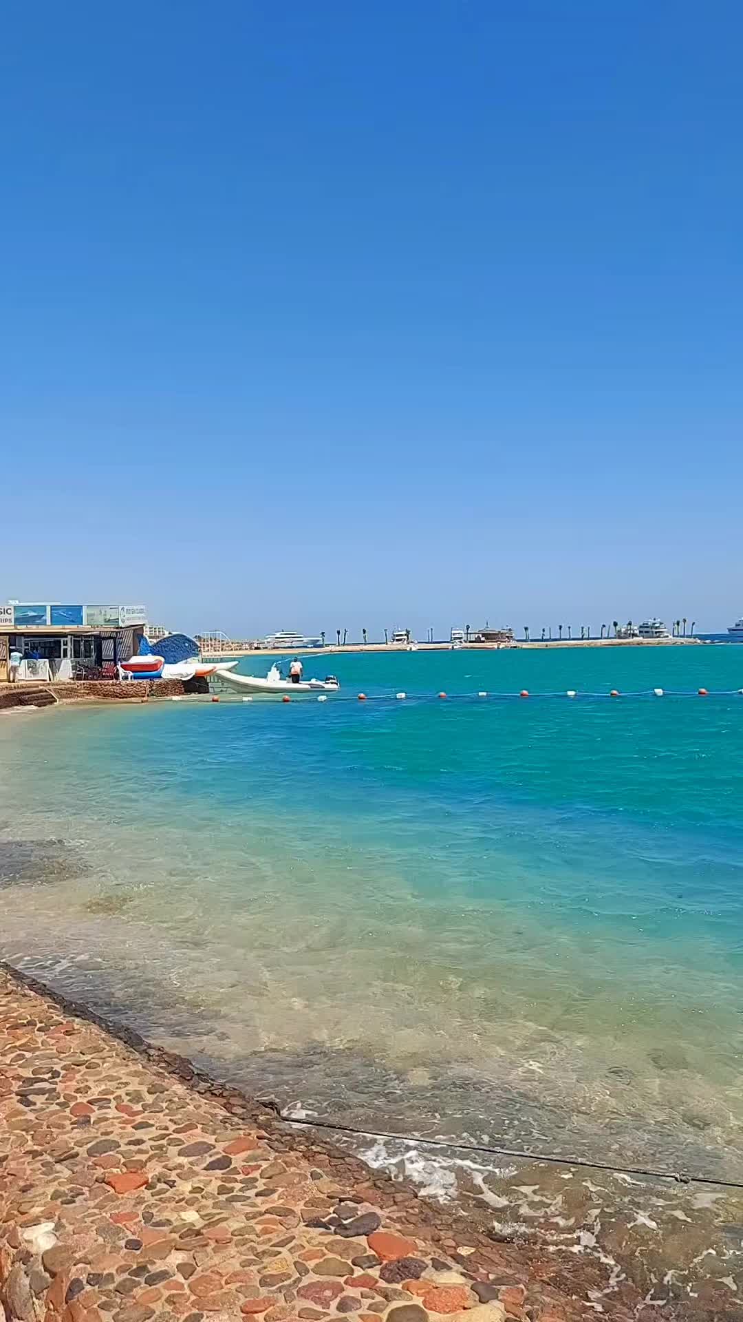 @Denisa Šariská 🇨🇿&🇪🇬