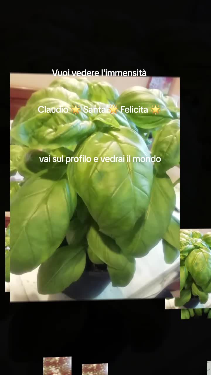 @Claudio Santa Felicita