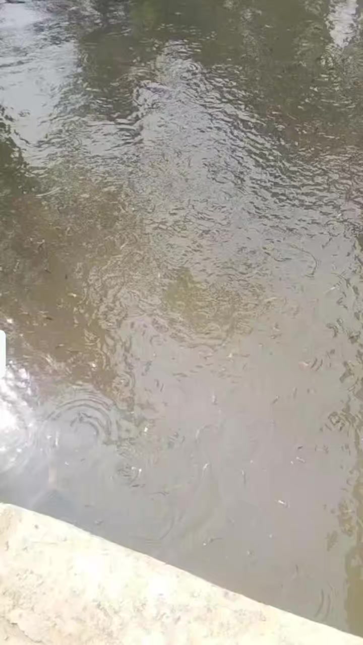 @Momihbwel3296❤️