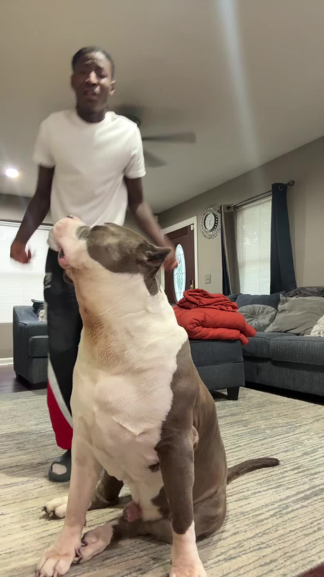 @ZWOP