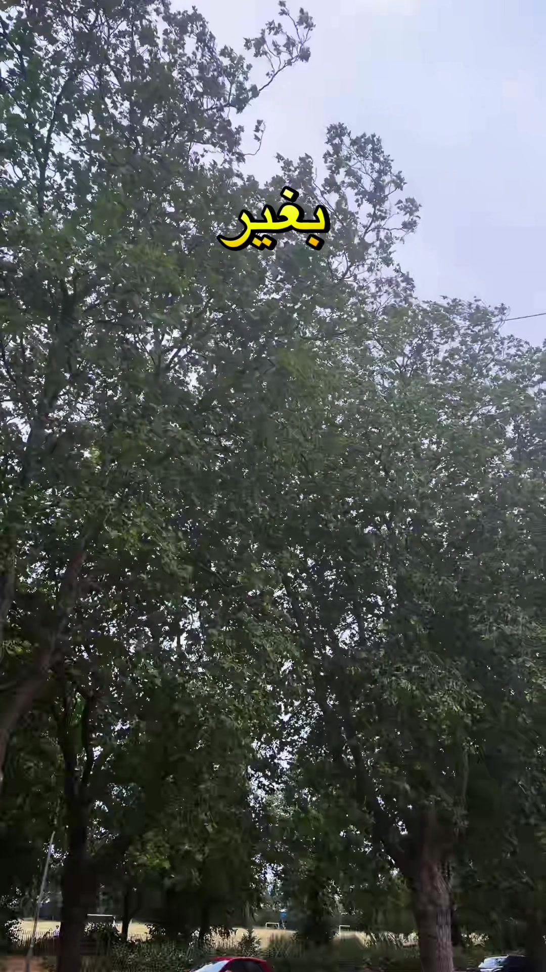 @M.R