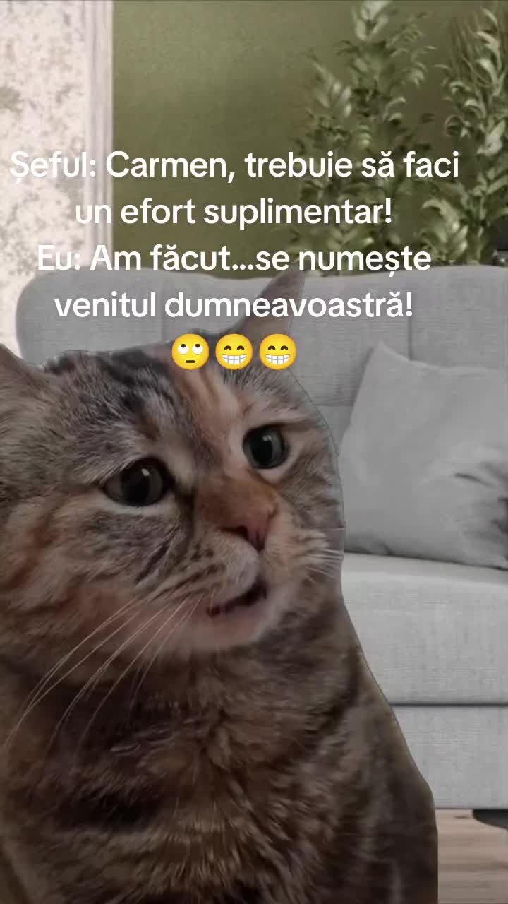 @Carmen Buhinschi