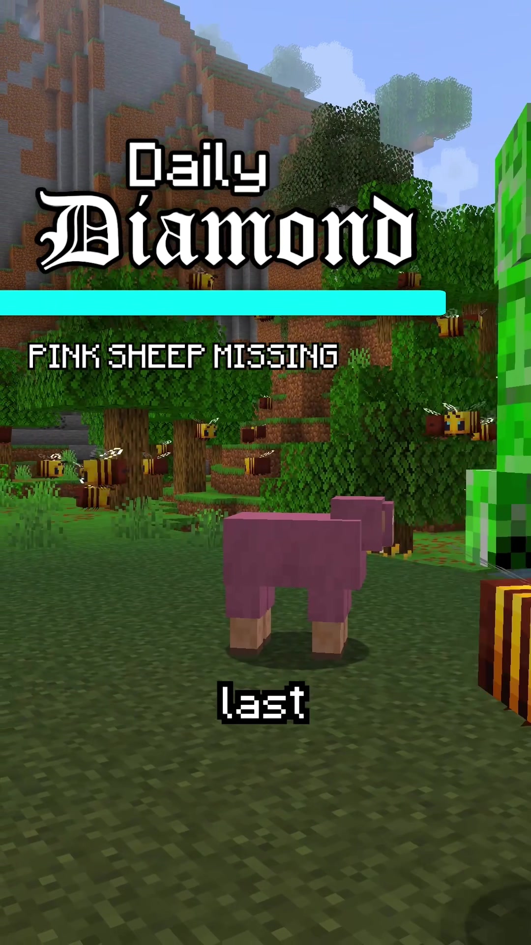 @Daily Diamond