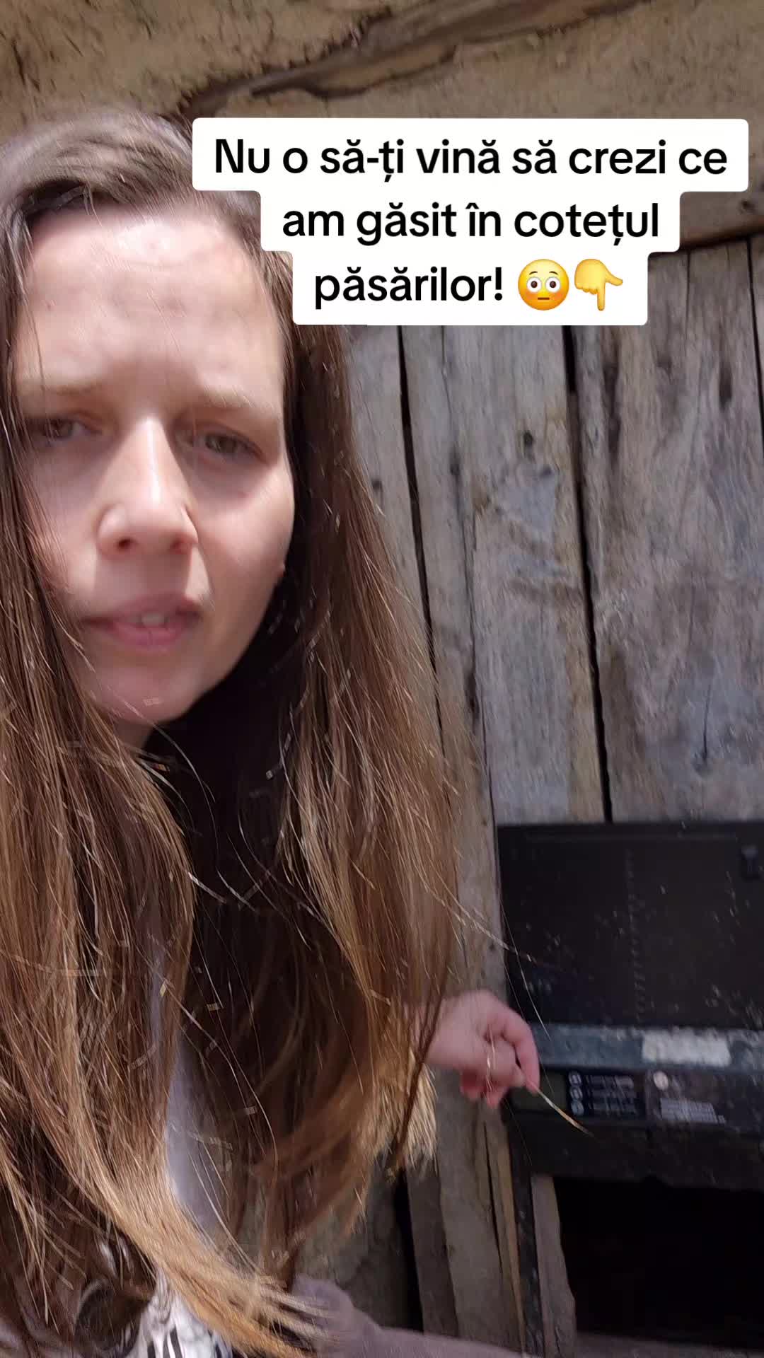 @Silvia Morosanu