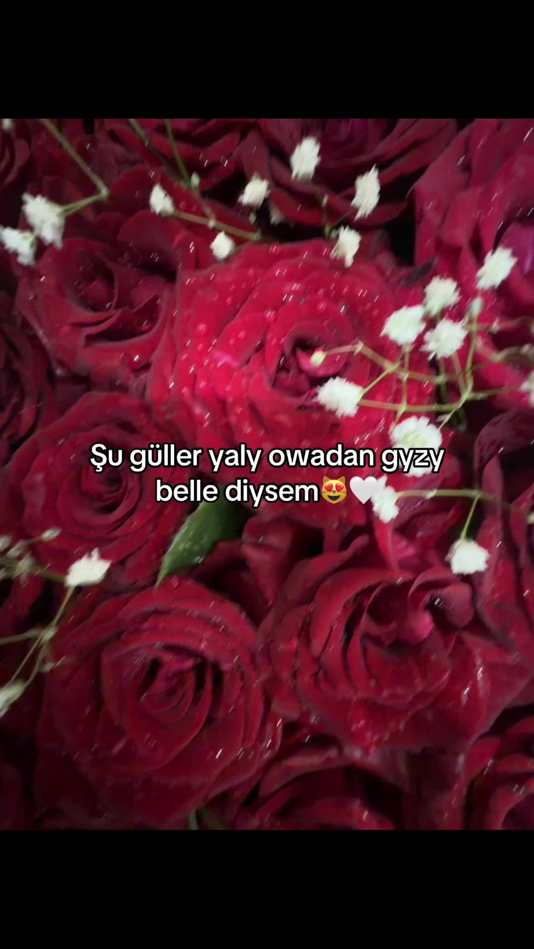 @𝓝 🤍