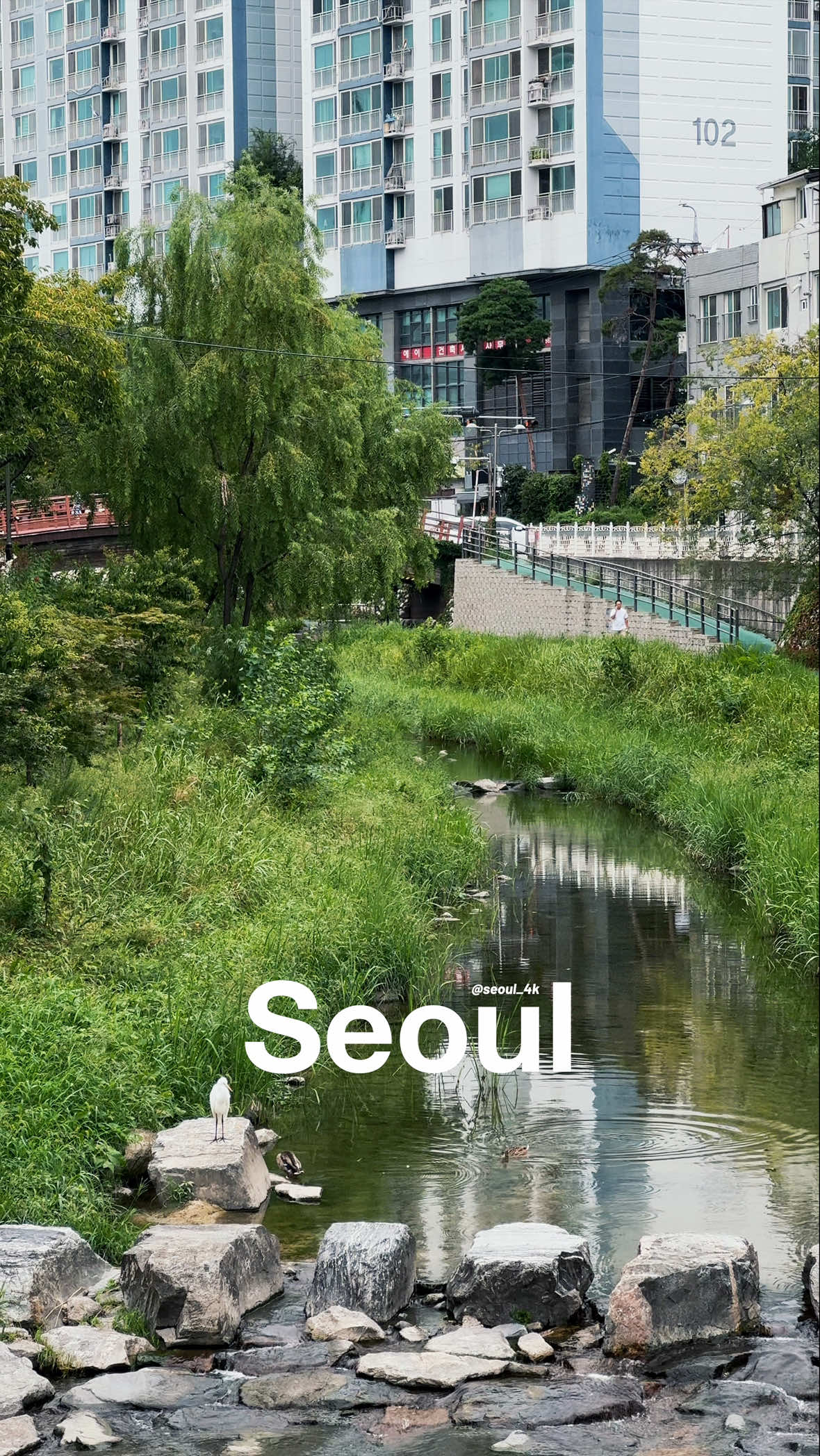 @seoul_4k
