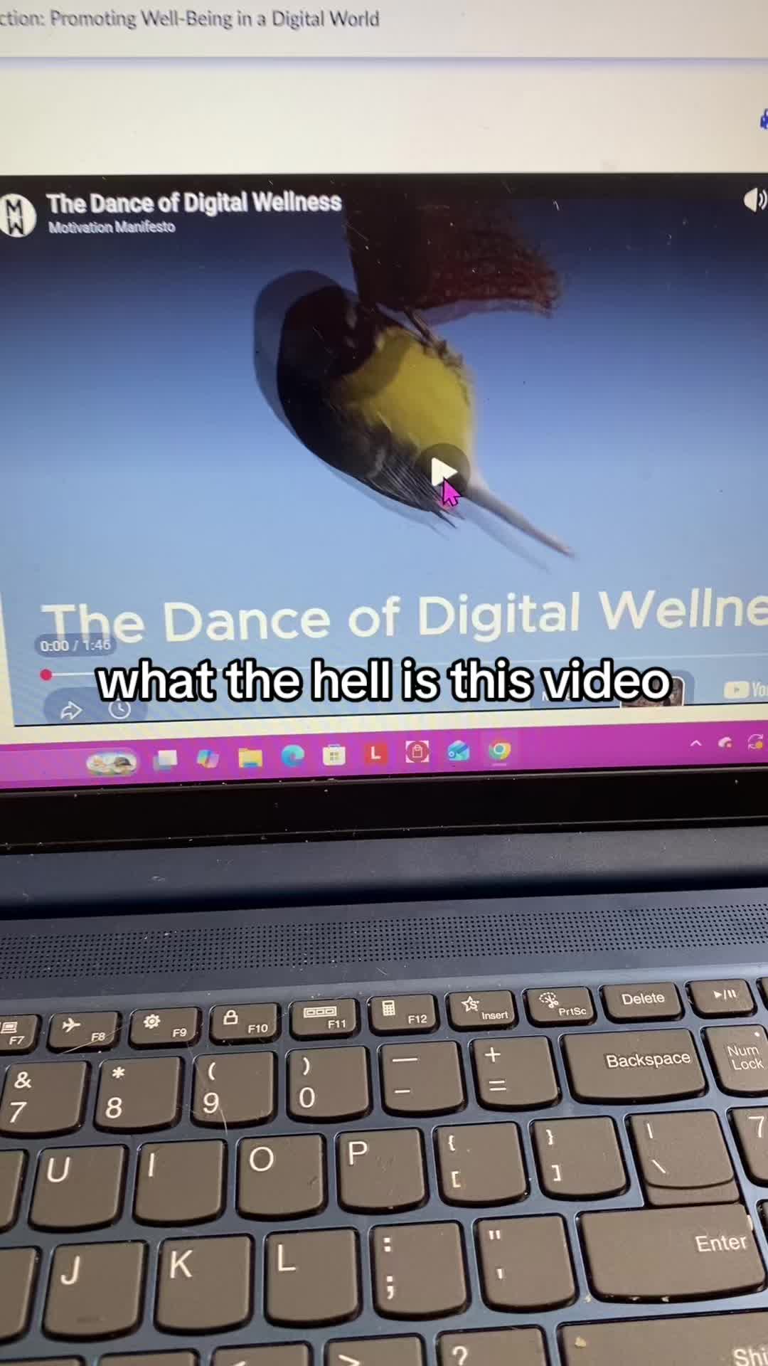 @doofusdiaries