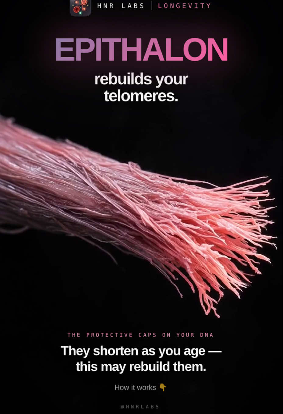 @HNR Labs