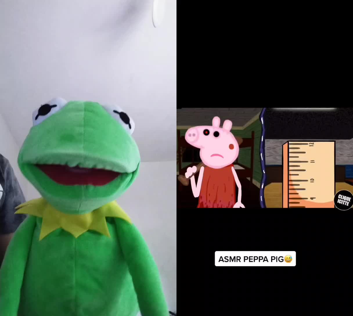 @Kermit The Frog Tiktok