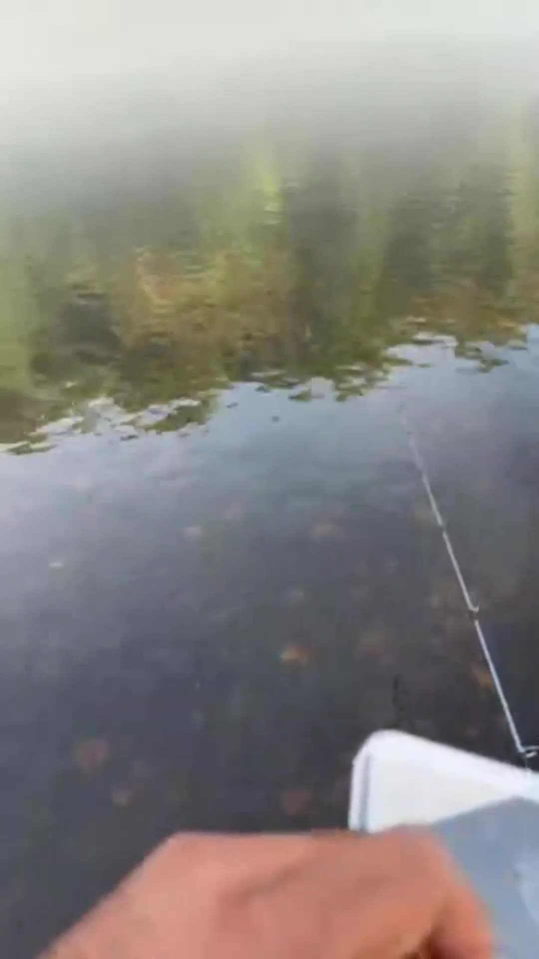 @LOVELACE 🎣
