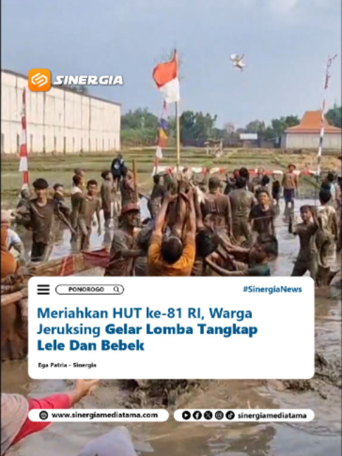 @SINERGIA MEDIATAMA