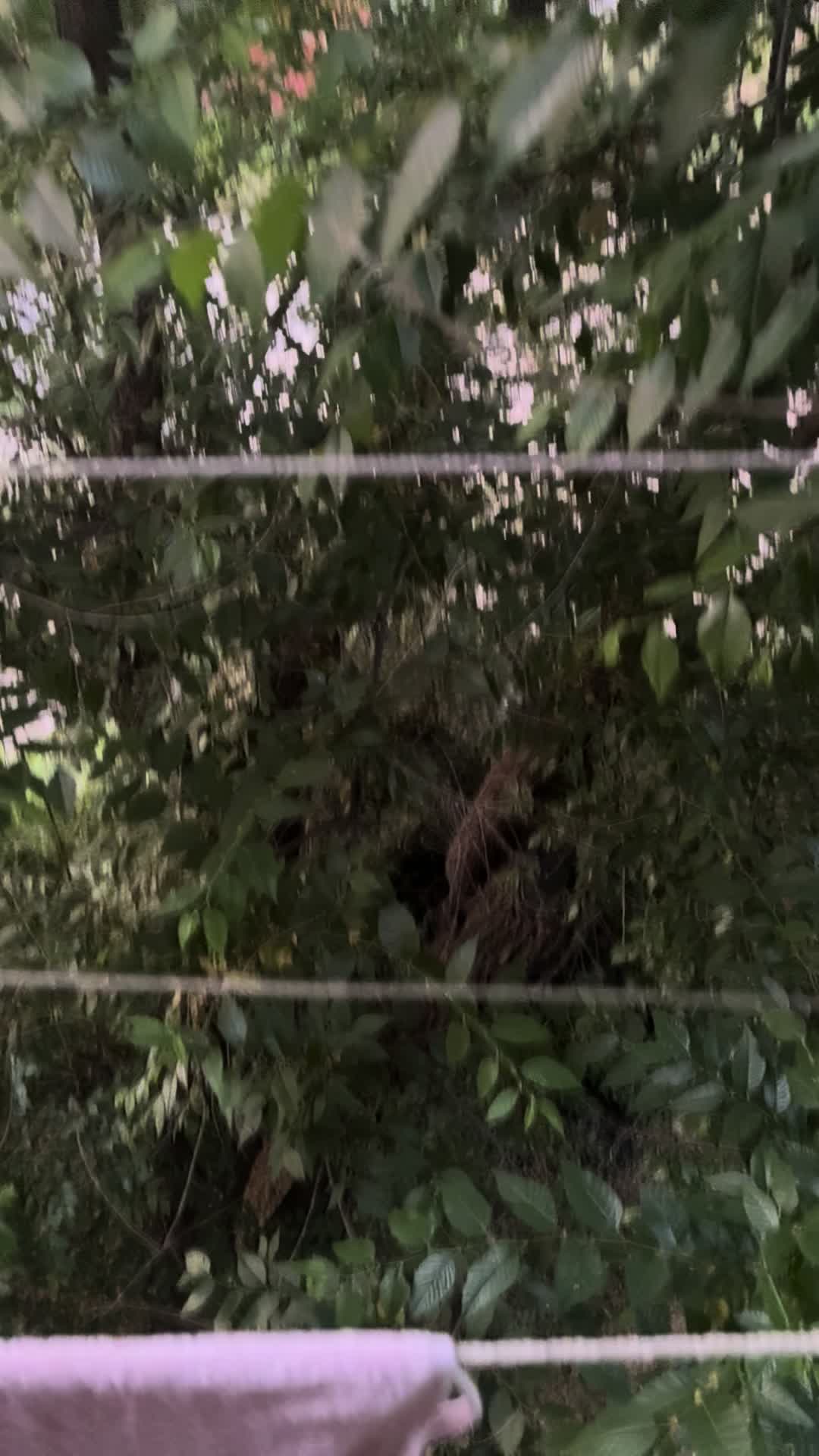 @похоть