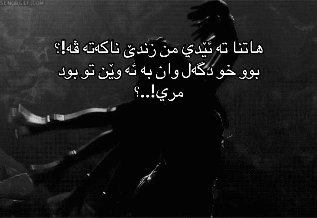 @LostInThought🔥