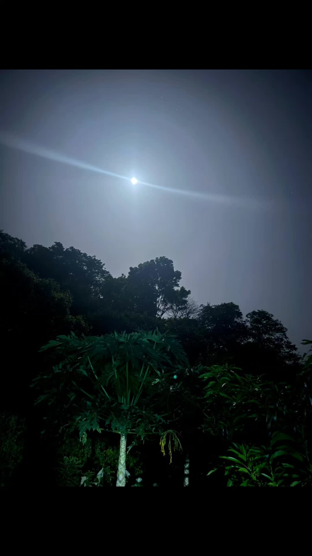 @🥀Lorena🧸🇸🇻Bonilla🇸🇻🧸🌌