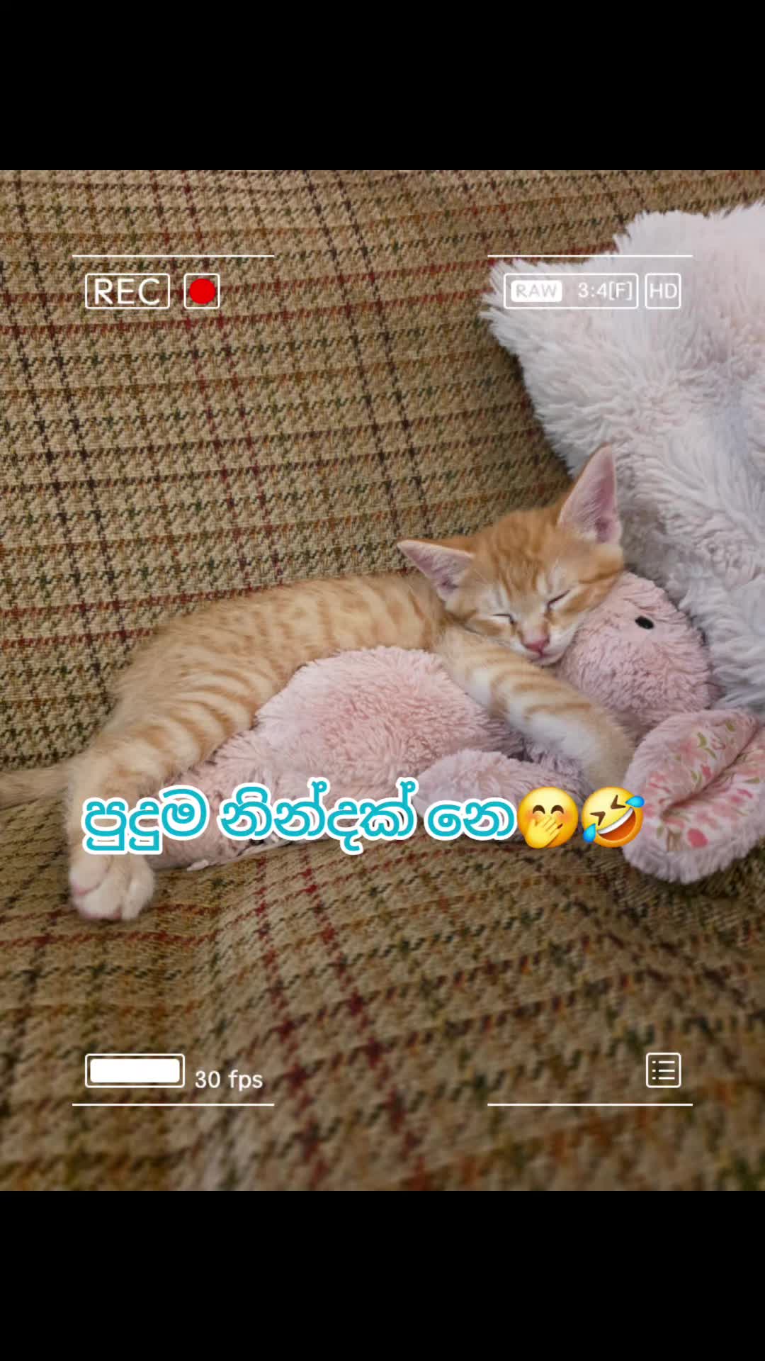 @Nilu Ranaweera 🇬🇧🇱🇰
