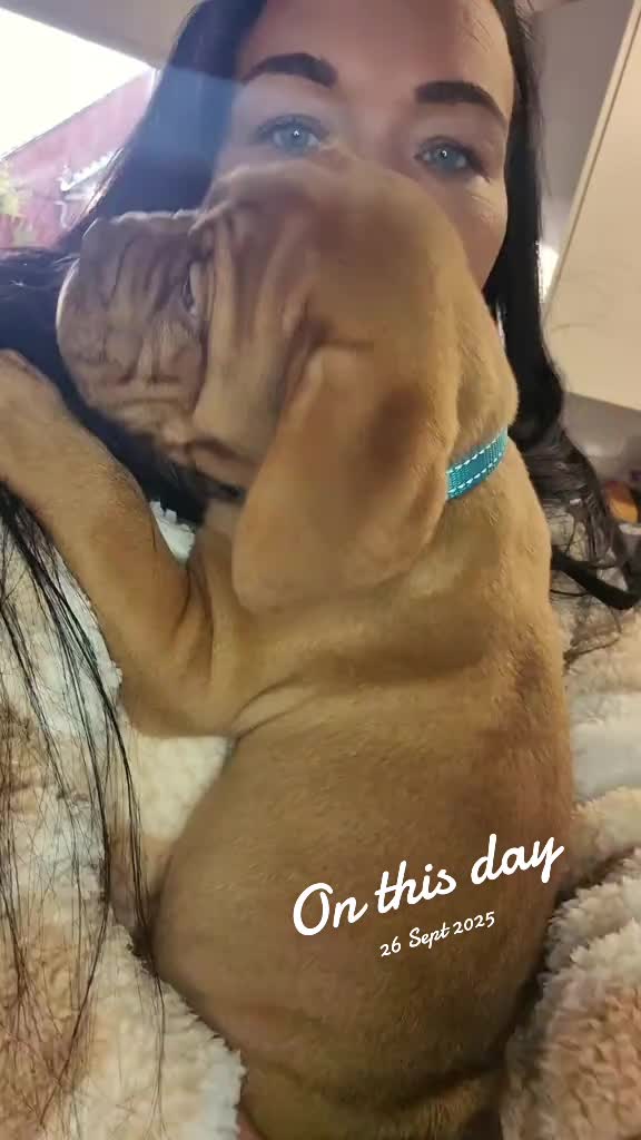 @Carla👋❤️👋
