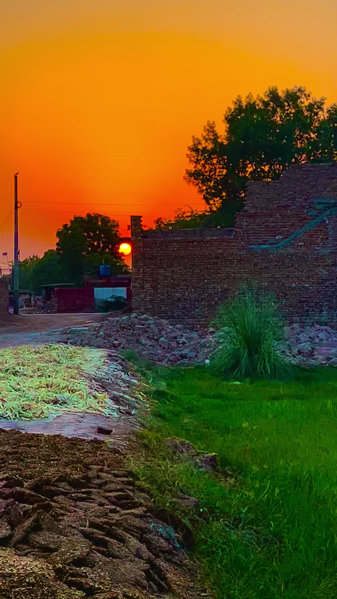 @🥰 𝔸𝕪𝕖𝕤𝕙𝕒 1520 🥰