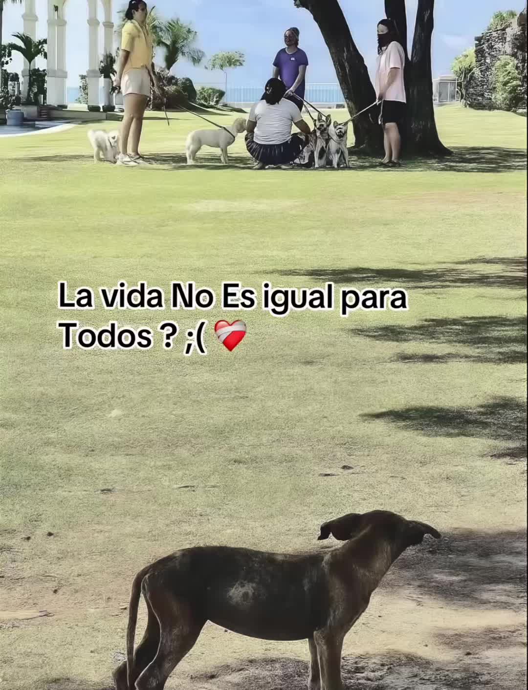 @Phablyto
