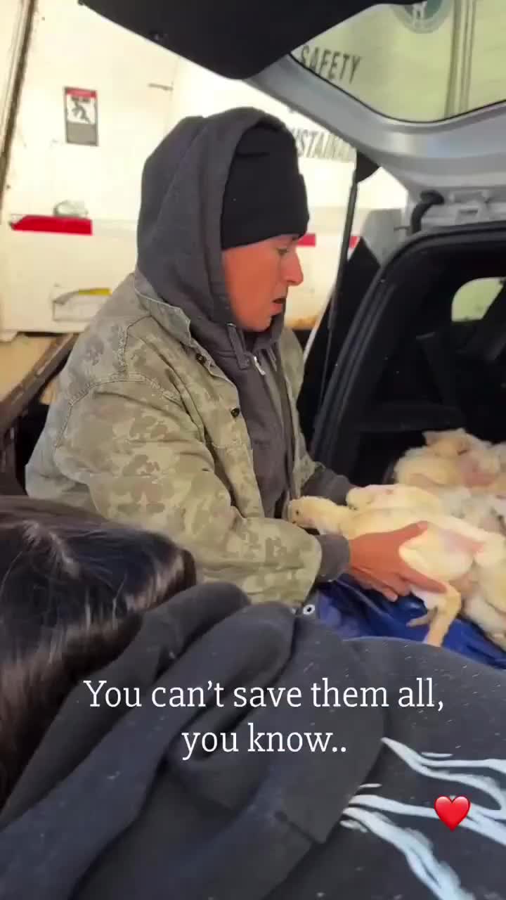 @Animal Save Movement