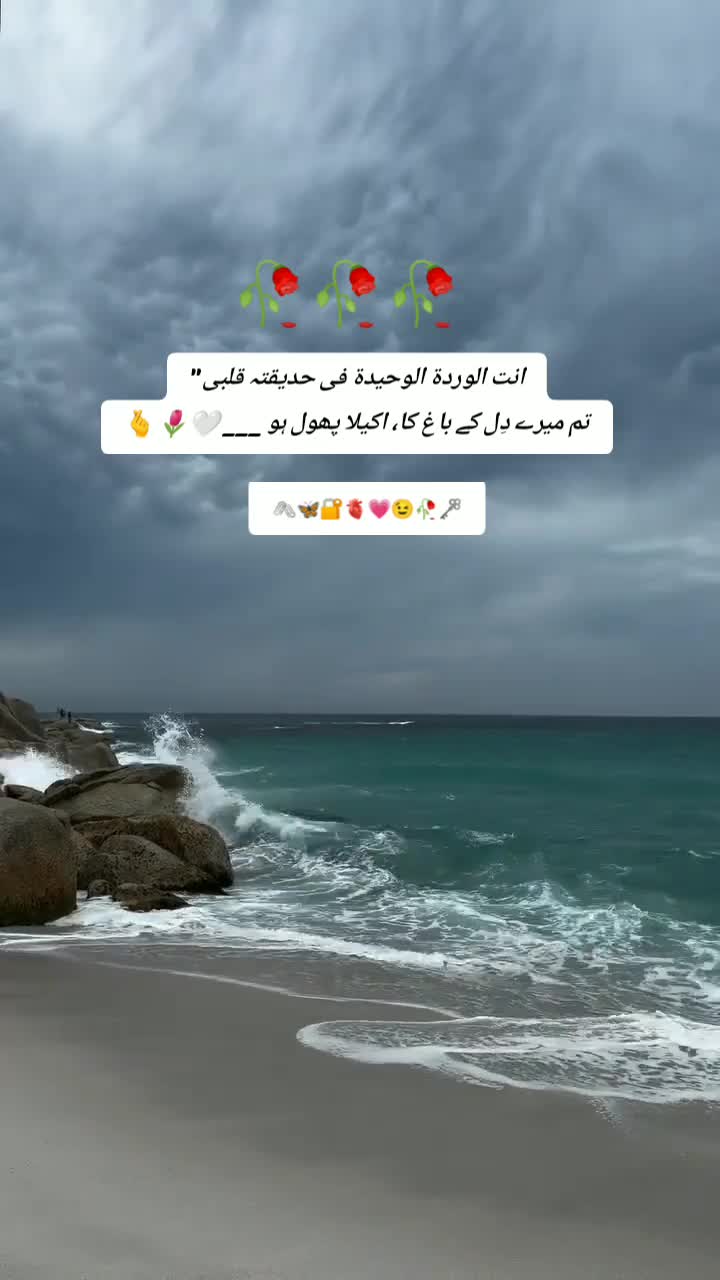 @Amalfairy2