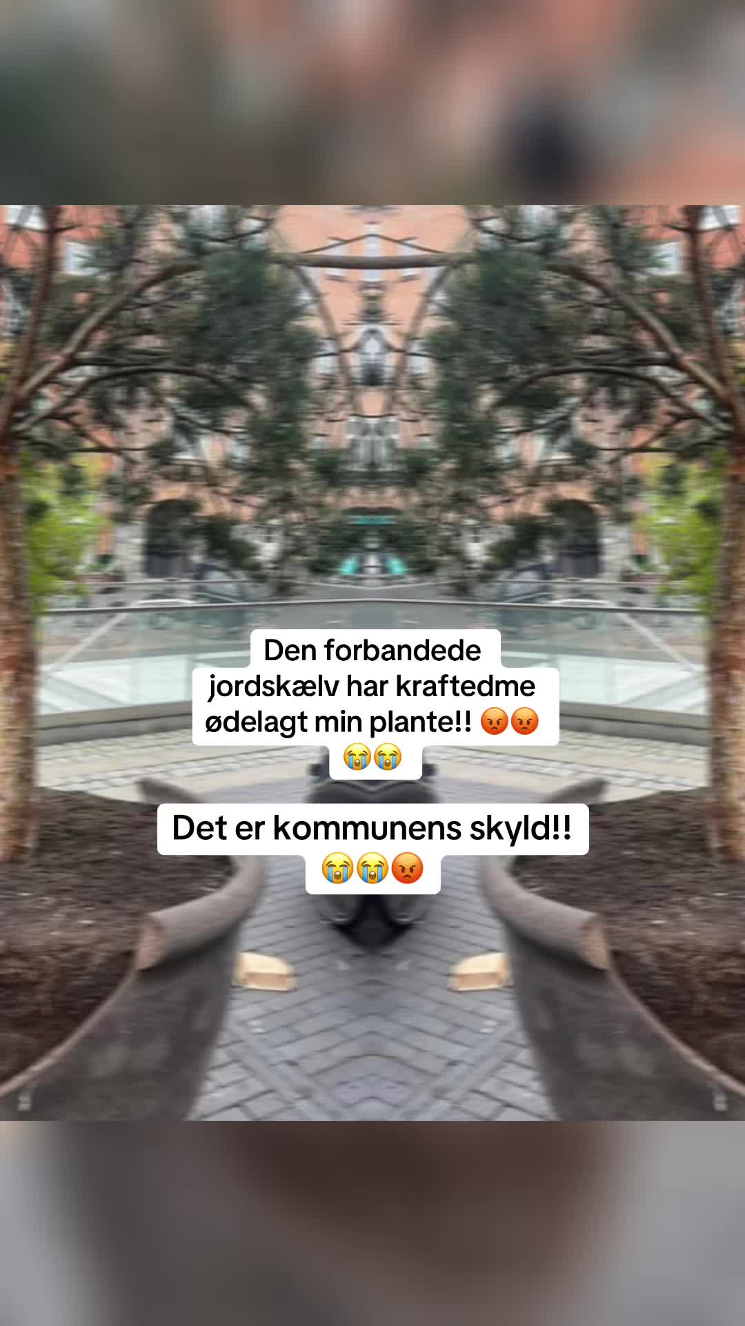 @Tante Rigmor 🌻