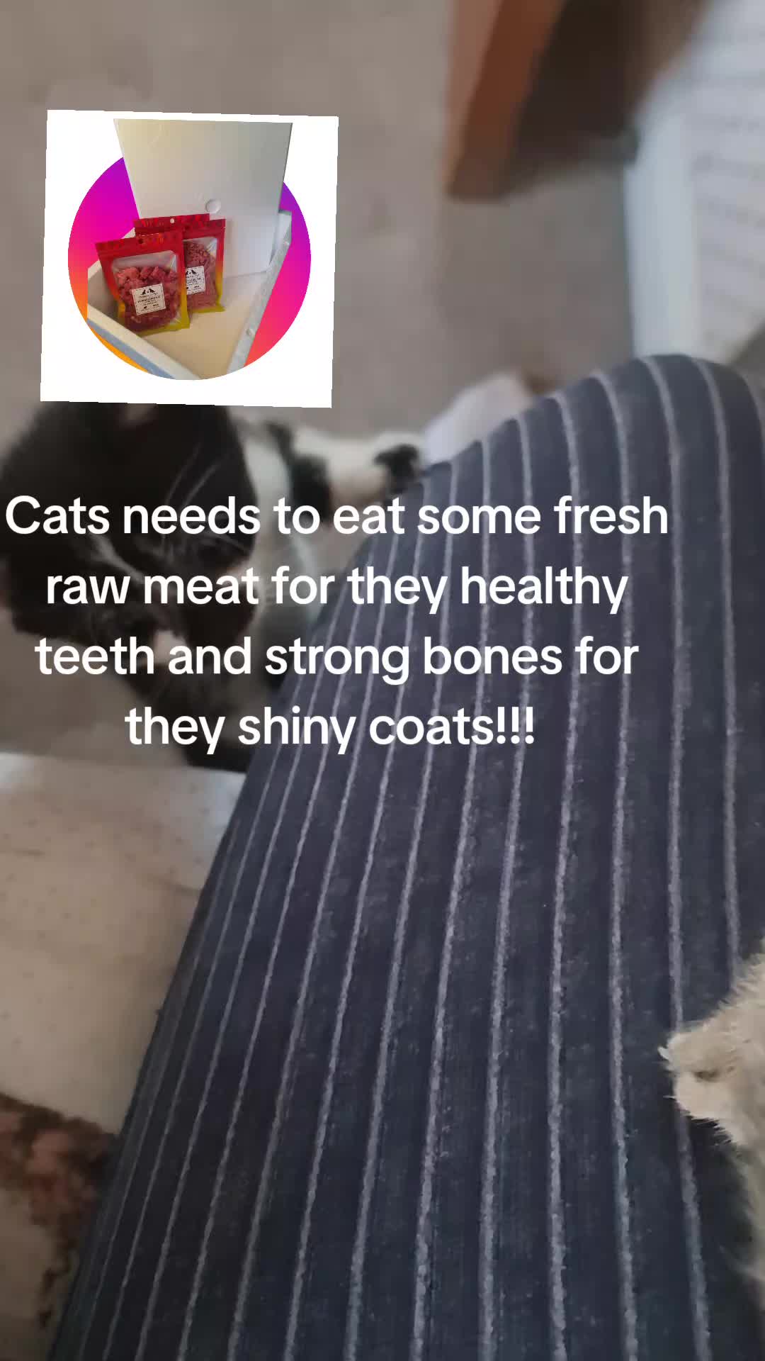 @Wellness for Pet