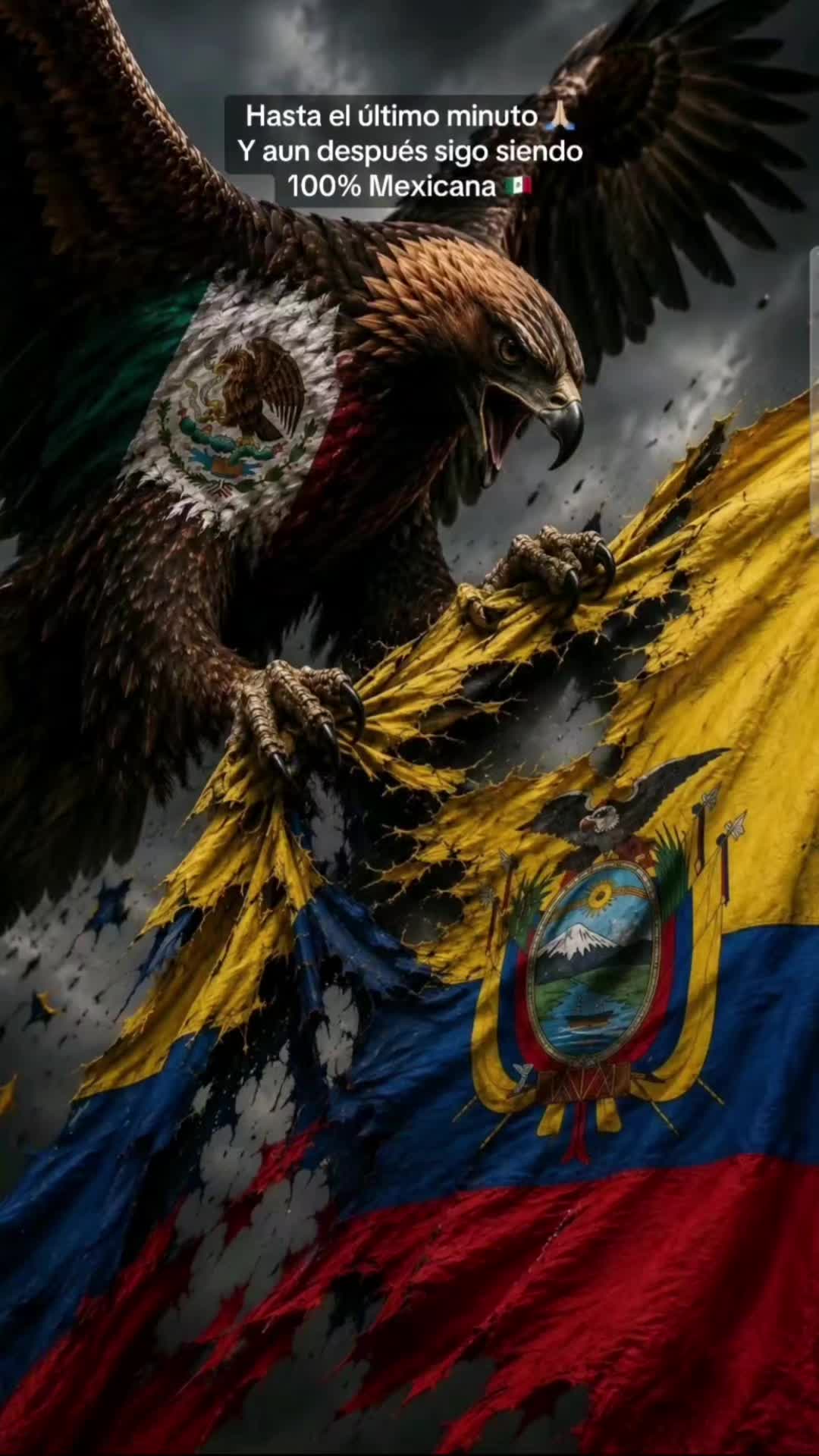 @Latino Velmor