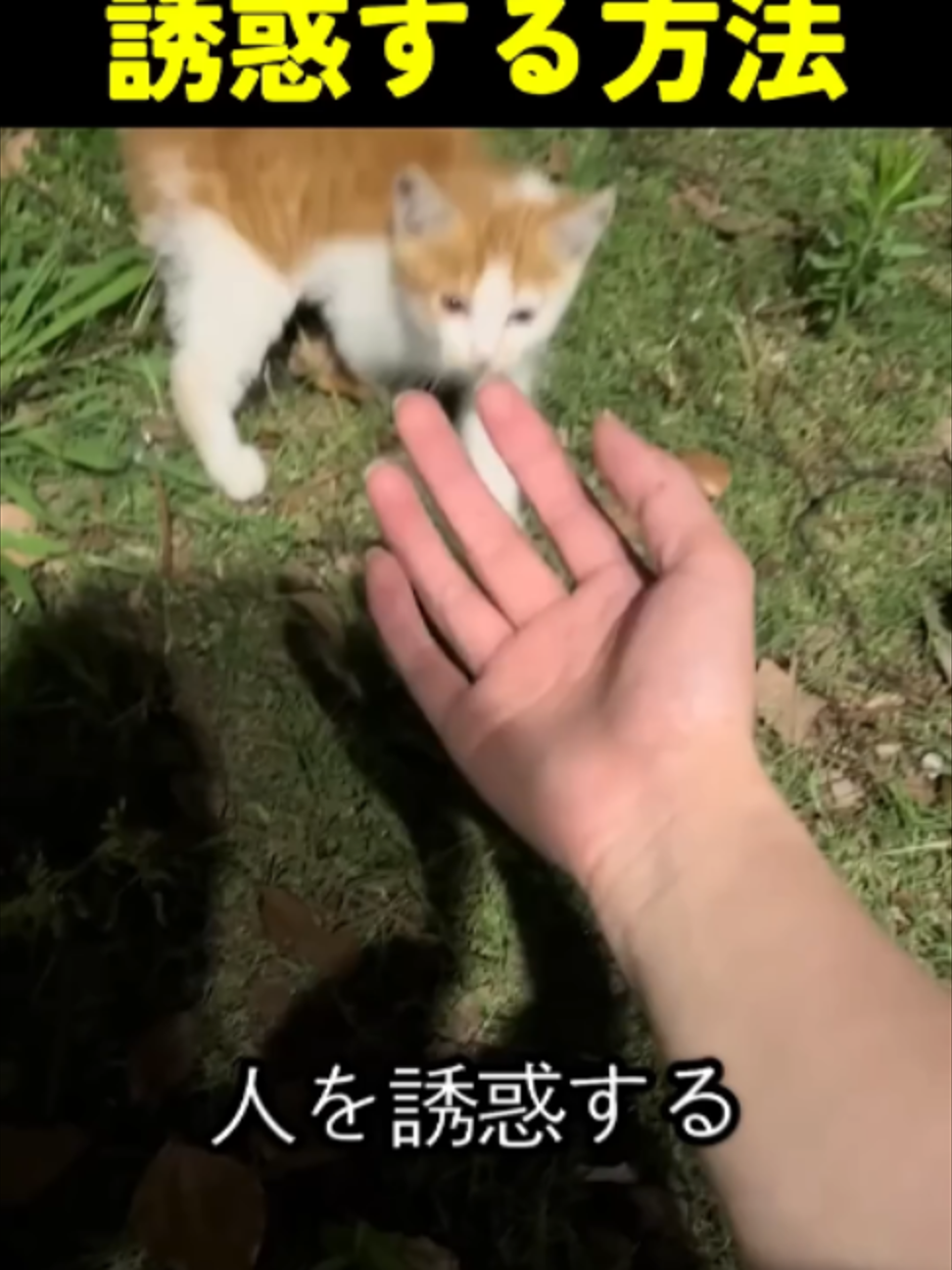 @빅파일
