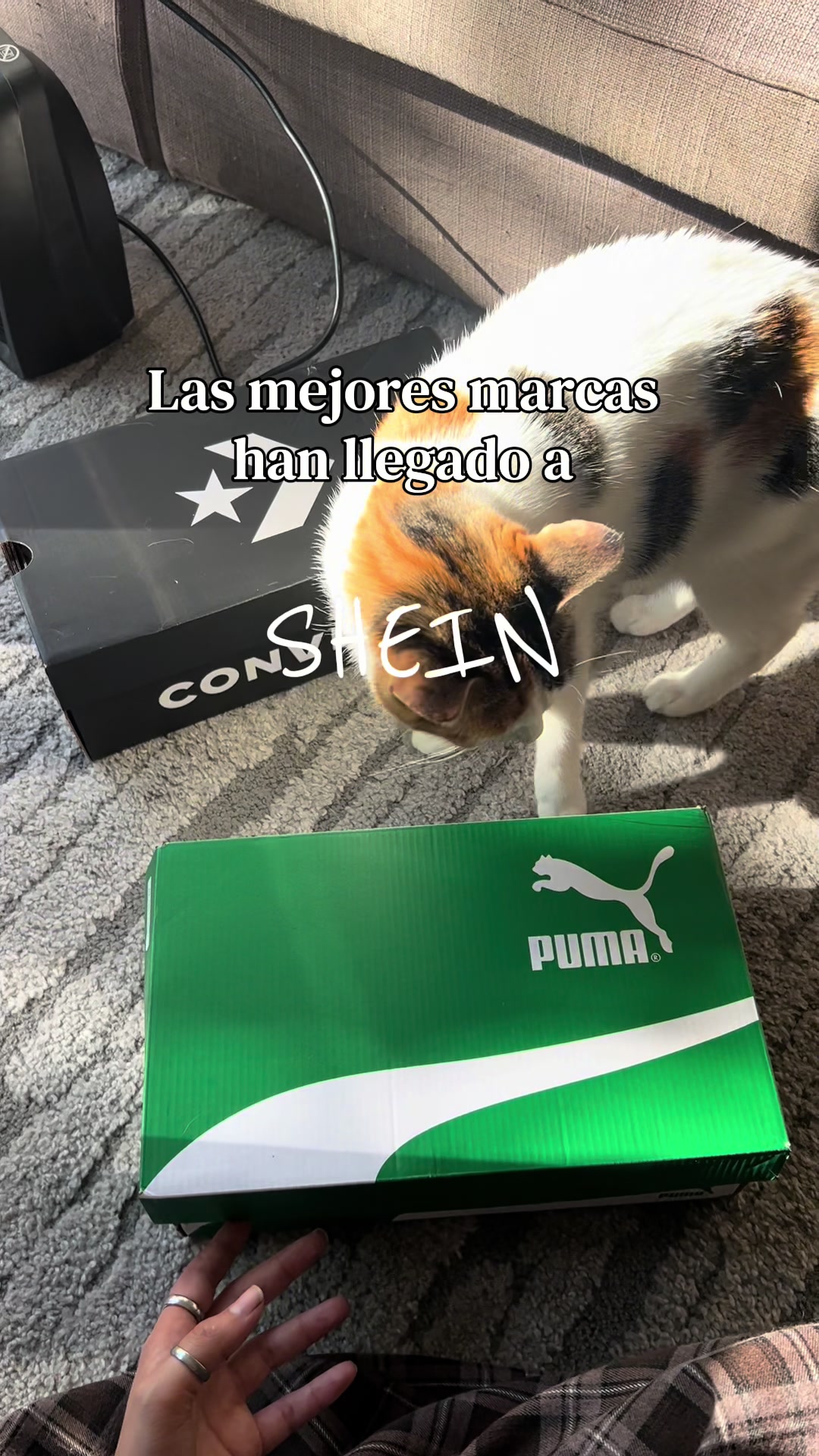@María