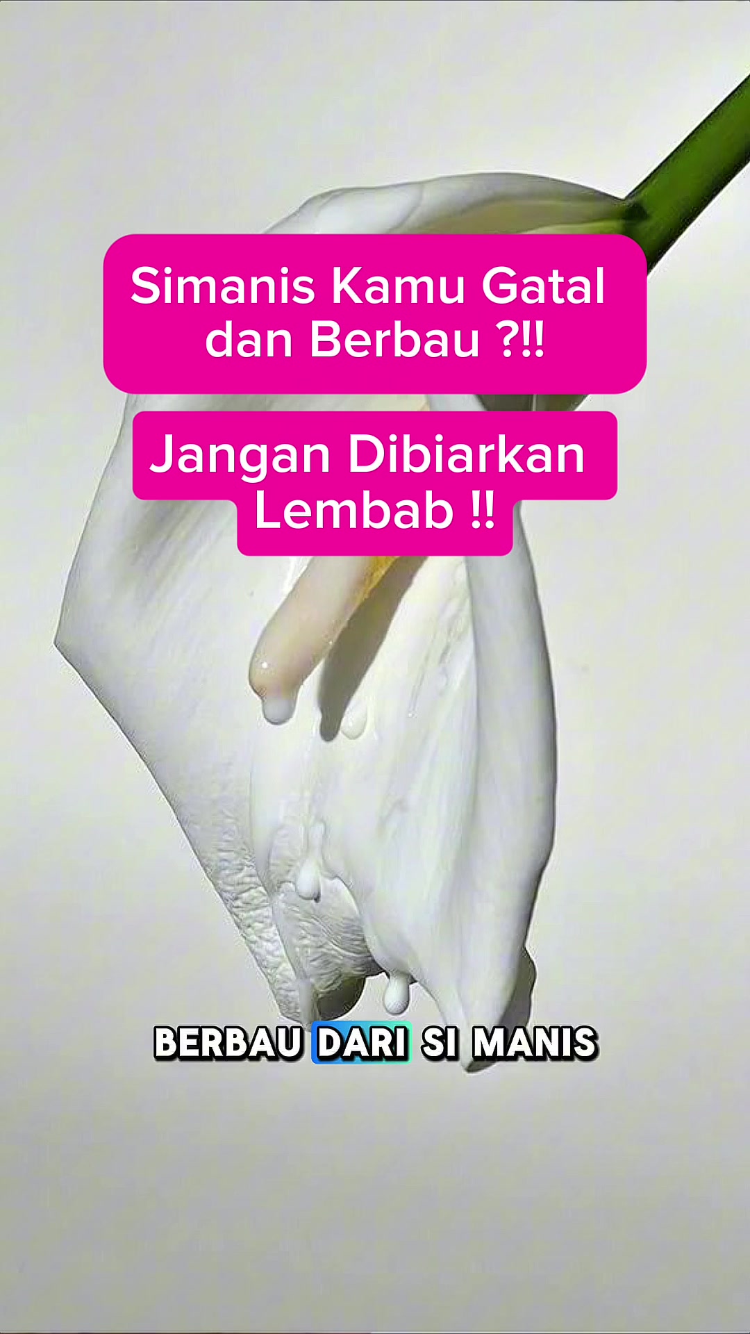 @Agis Herbal Shop