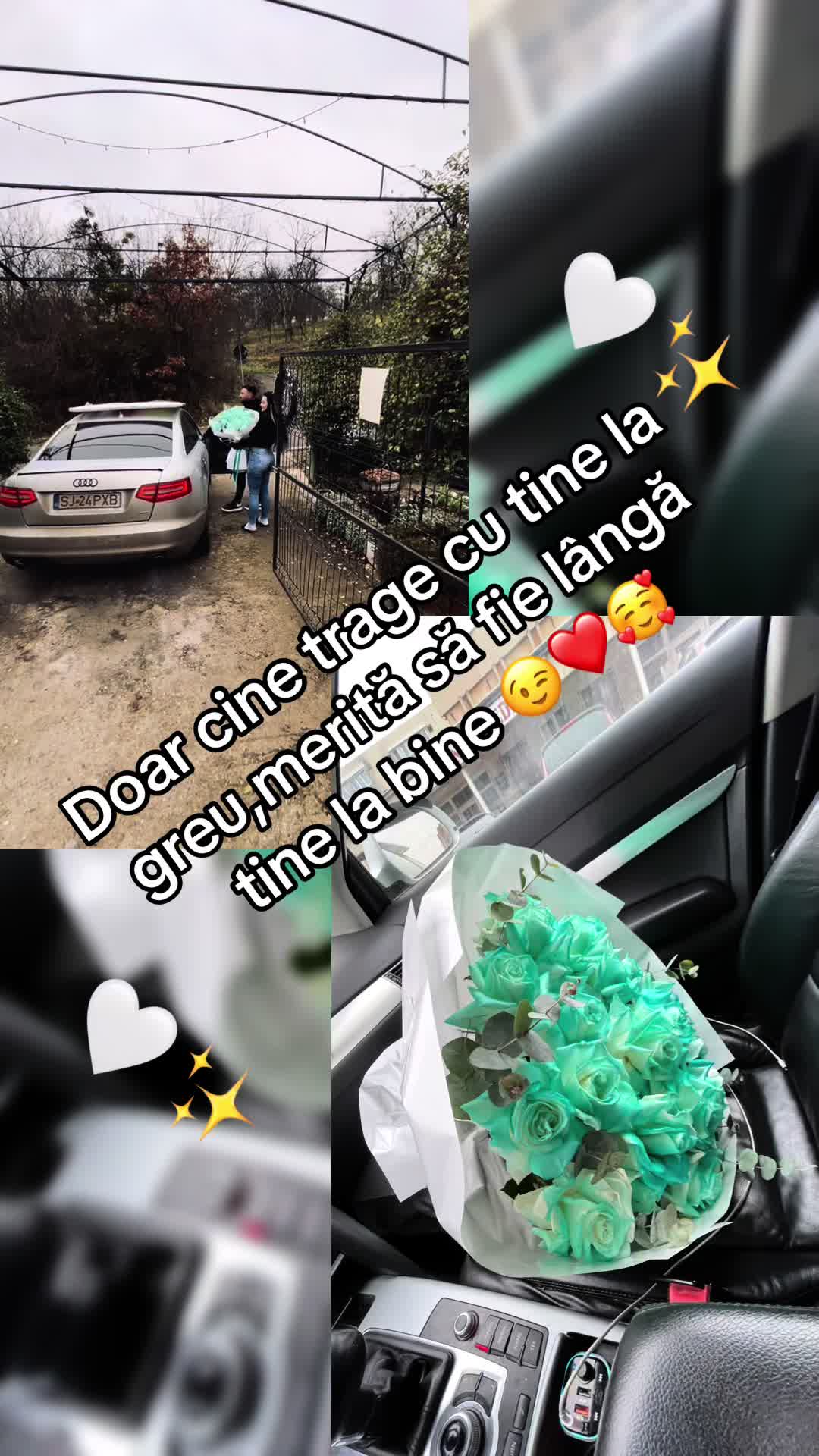 @PuȘcAș 💣💚