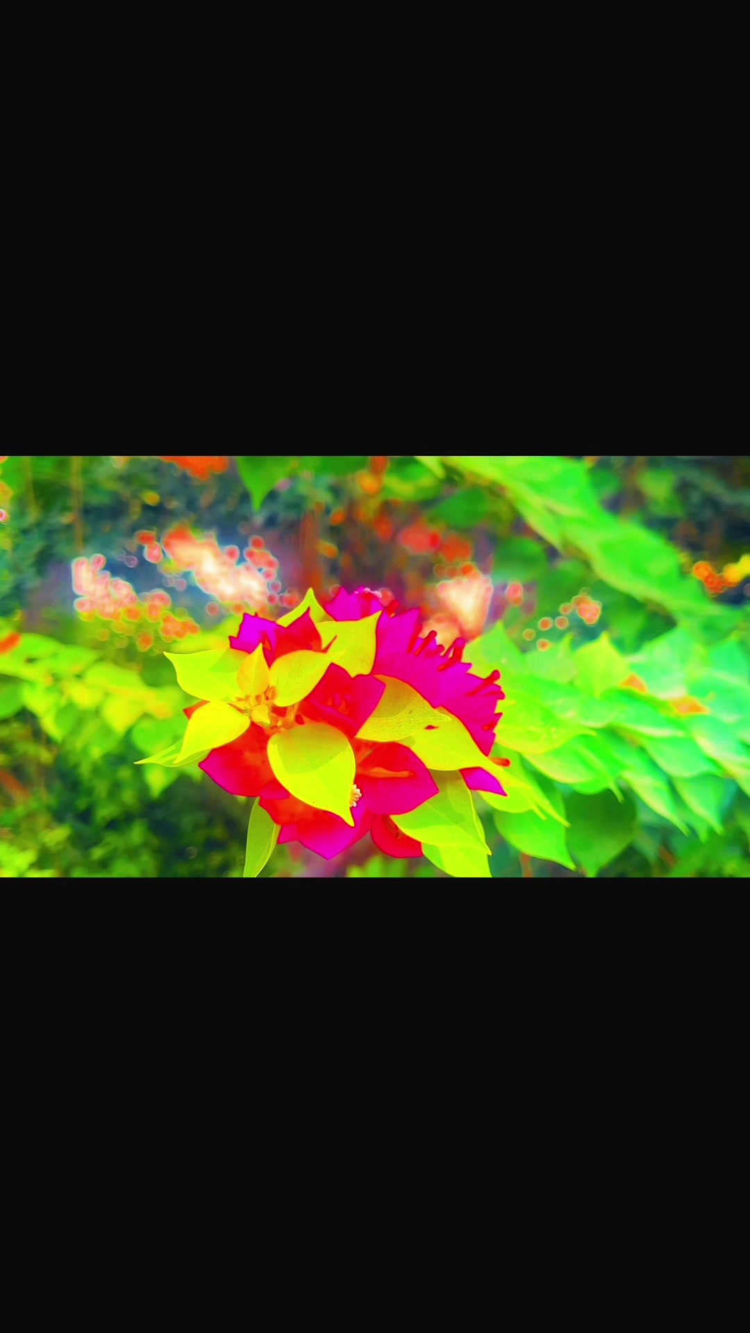 @🪟 Leafy Whispers 🍃
