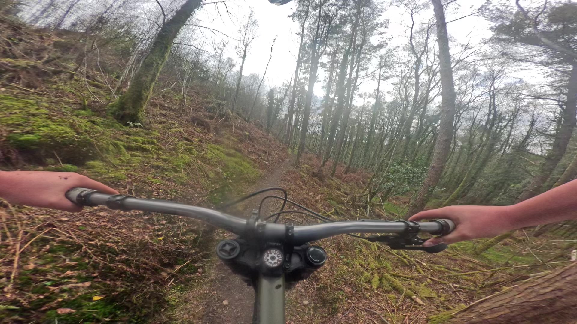 @Cass.Mtb